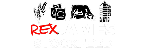Rex James Stockfeed